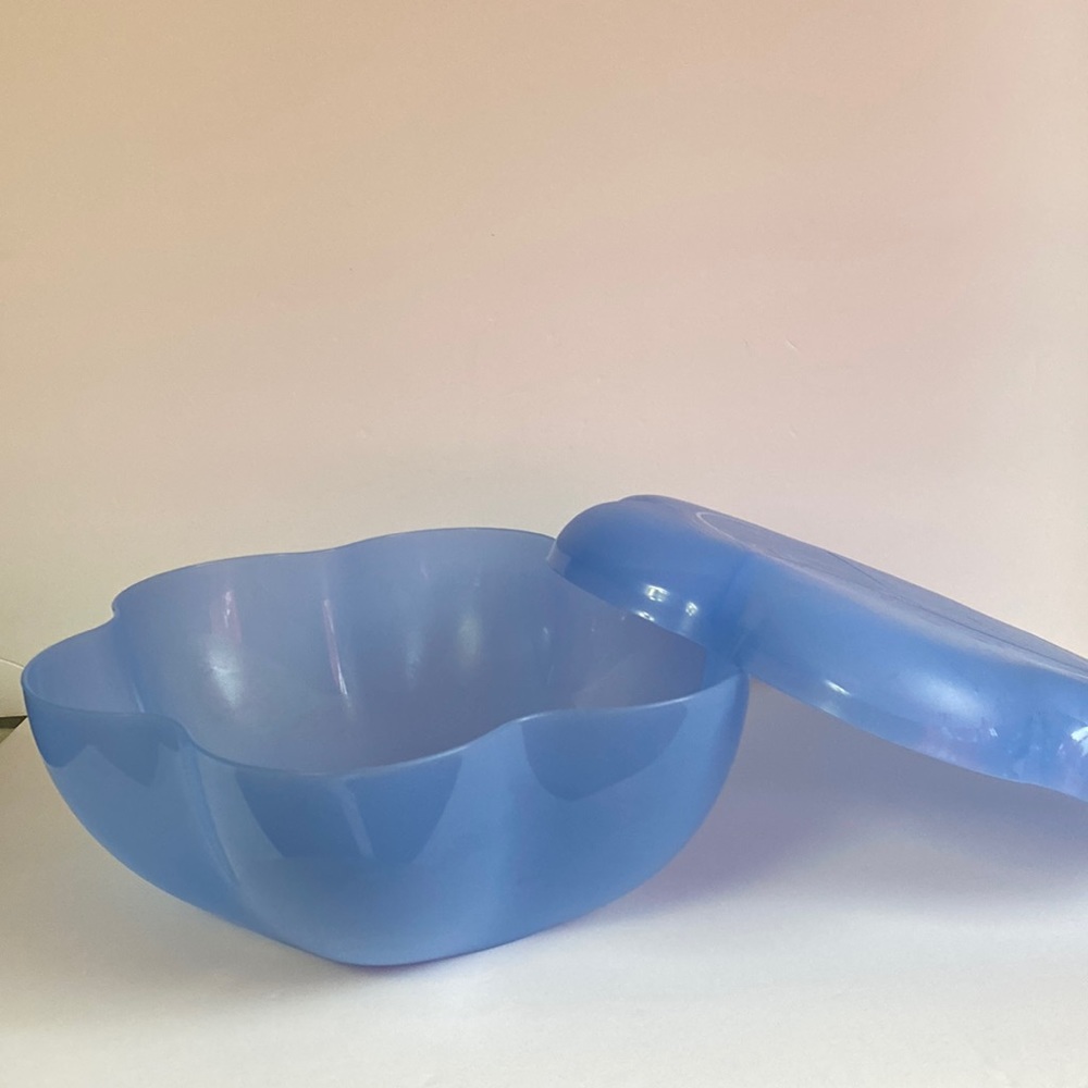 Tupperware Bowl & lid